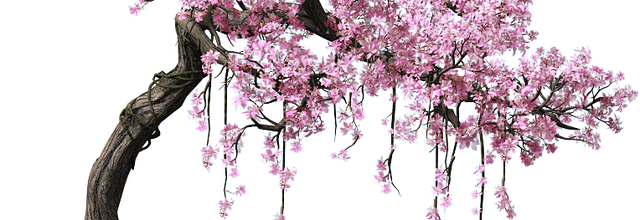 ѼVegetation