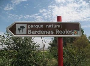 BARDENAS REALES 