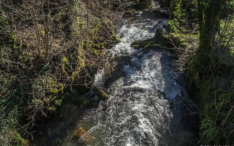 Au fil de la Seille, dans le Jura