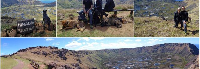L’homme oiseau s’est brulé les ailes sur les pentes du volcan Rano Kau 