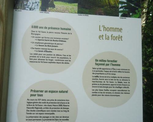 "Le Chemin de Bouterot" - Mercredi 05 juillet 2023