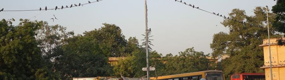 Au Rajasthan, une démente circulation #2