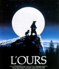 L'ours