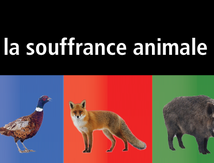 Que serait la vie sur terre sans le monde animal ?