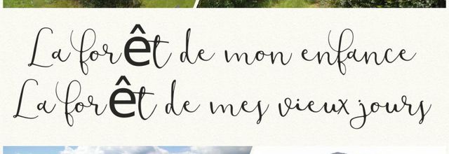 La forêt...