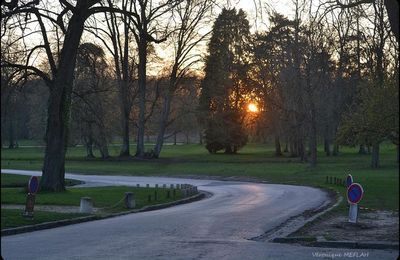 Confinement Jour 15 - Quand le soleil se couche ... 