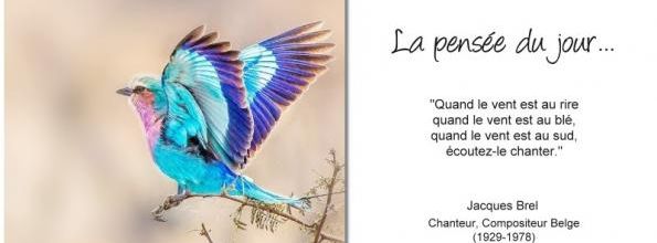 La pensée du jour (98)