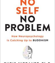 DOWNLOADS No Self, No Problem: How Neuropsychology Is Catching Up to Buddhism