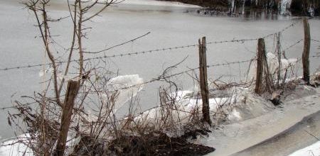 La Neige ... 2010