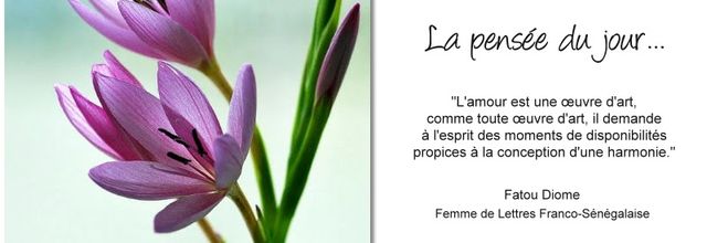La pensée du jour (207)