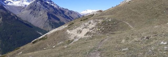 Dette d’oxygène, Toine Heijmans, traduit du néerlandais par Françoise Antoine (Belfond)