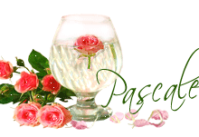 signatureanimee,verre