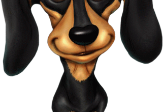 Après-midi "café / balade calèche" pour Galgos France