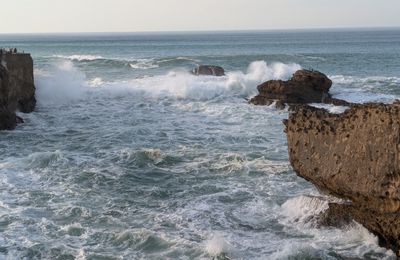 Suite de Biarritz en 02/2025