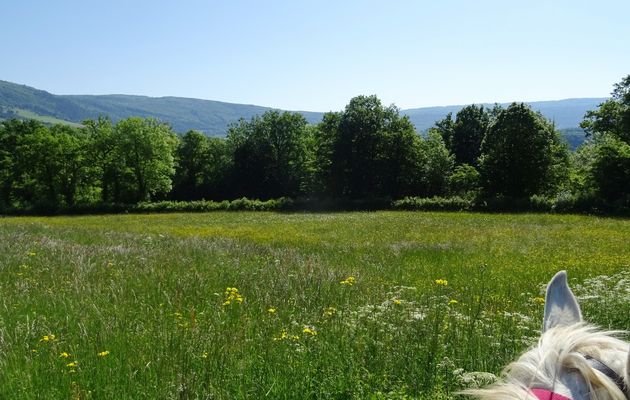 Les petites routes du Valromey