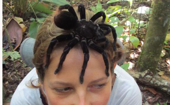 Madame M, qui n'a peur de rien