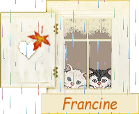 FT24 pluie, chat, fenetre
