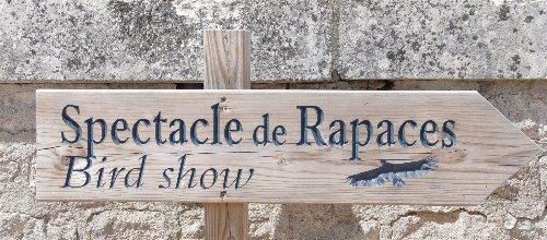 Chateau des Milandes 2 - Spectacle de fauconnerie