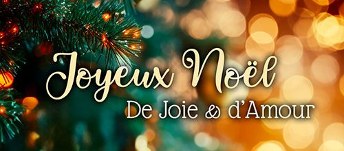 Joyeux Noël ...