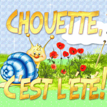 SAISON : été