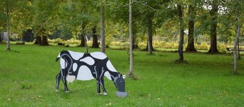 ... cool, la vache...