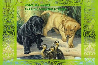 Chanel vous présente sa mamie