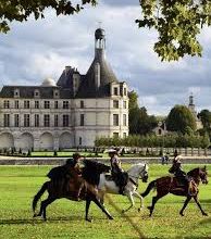 mode fashion horses fashion 