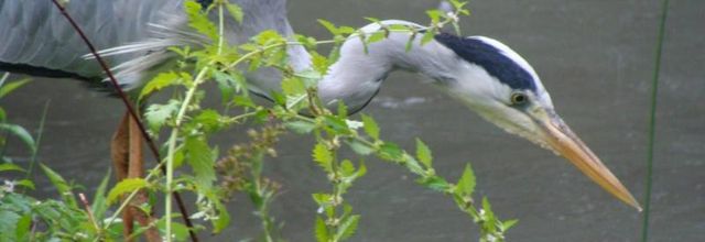 Parc aux Oiseaux de Villars les Dombes