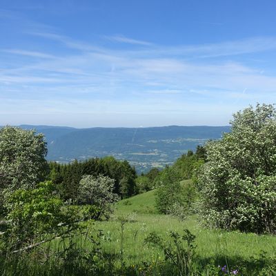 Le Grand Colombier