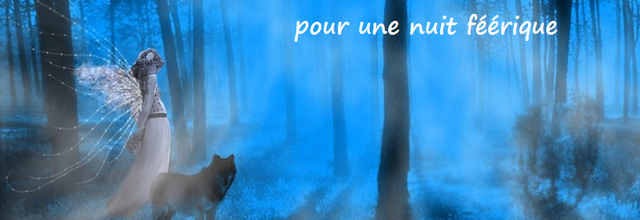 Nuit féérique
