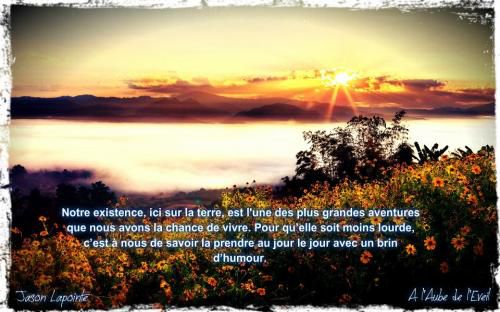 Un brin d'humour