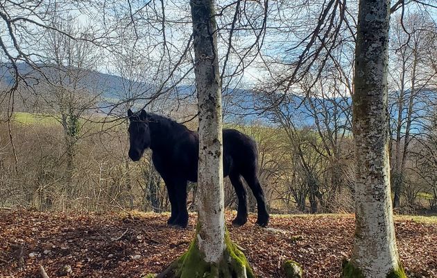 Le 8 mars 2024 : Cache-cache
