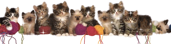 Chat alors !!!!!!