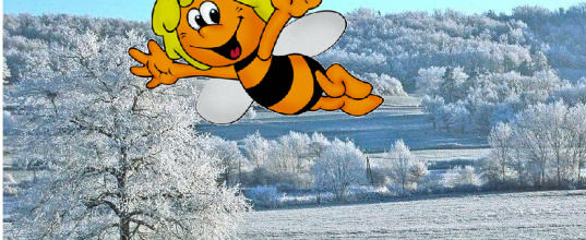 Bon mardi