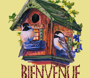 Nourrir les oiseaux du ciel en hiver