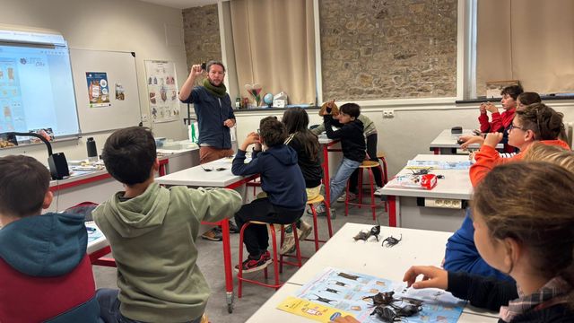 Biodiversité marine