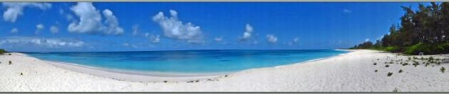 Dernière matinée au Bird Island Lodge : panorama de la plage devant l'hôtel, de quoi laisser des regrets !