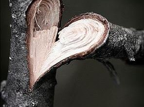 Le langage de la nature