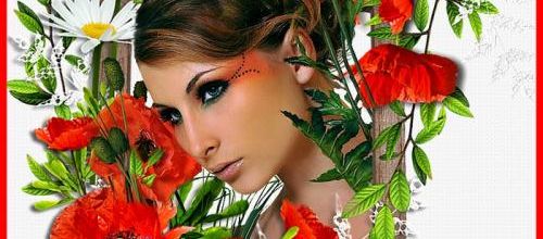  Gentil coquelicot ...