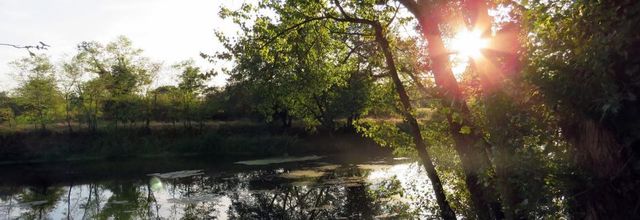 un coucher de soleil !