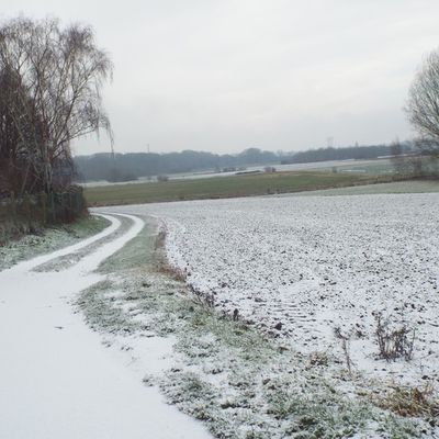 épisode de neige ...