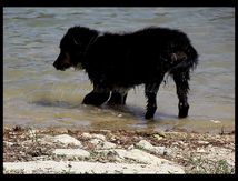 Qu'est ce que j'aime ça l'eau !!!!!!