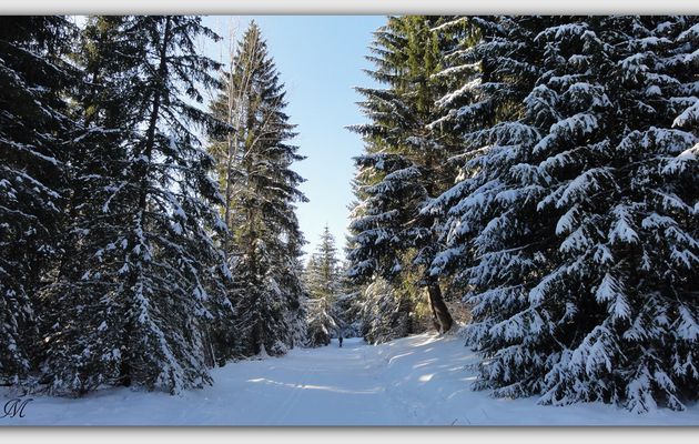 Pistes de ski dans un environnement préservé