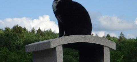 Jeudi