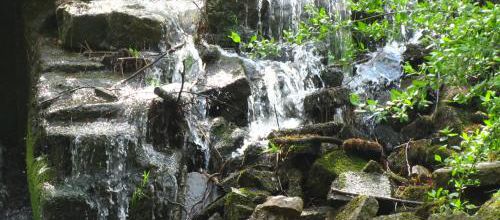 Waterlife : l'importance de l'eau sur Terre (2/4)