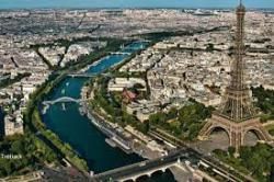 Dans la jungle parisienne. 