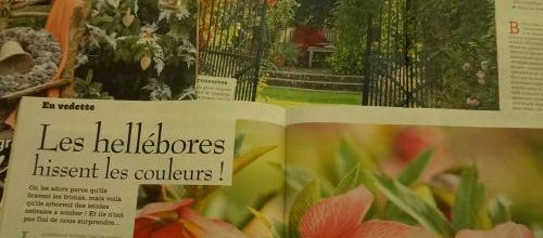 Une belle moisson