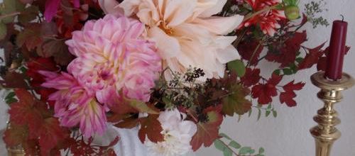 Dahlias en fête