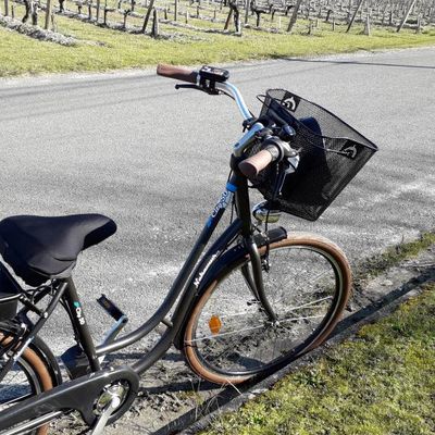    Avec mon  V.A.E. ...