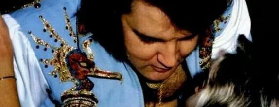 photo elvis